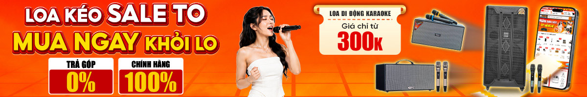 Loa Di Động Karaoke