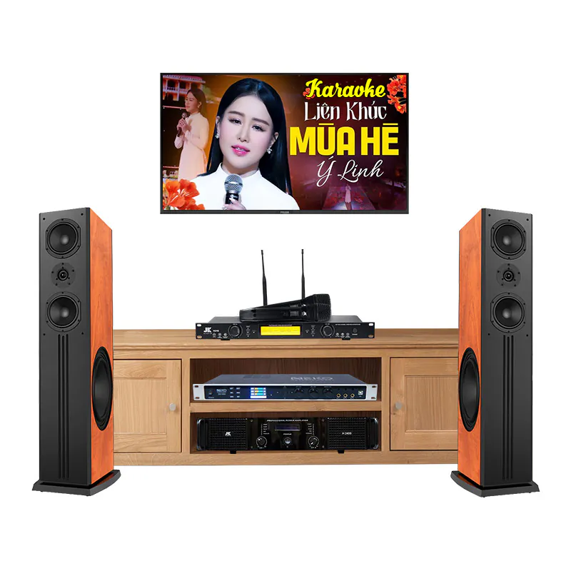 Dàn karaoke Paramax HK20 (Paramax D88 Limited, Neko DK1000, Công suất, Micro K310)