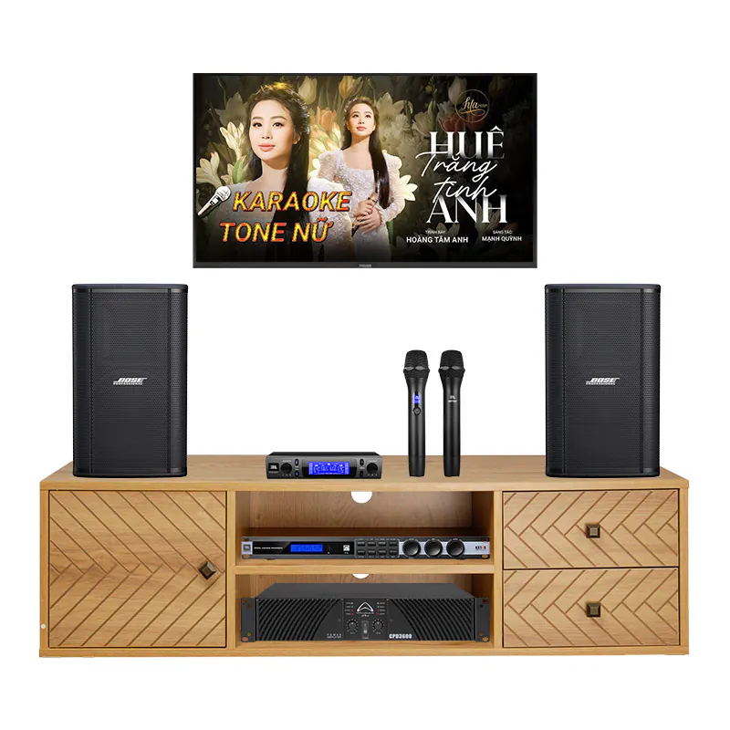 Dàn karaoke gia đình KGD130 (Bose ShowTime SK12, Wharfedale CPD3600, JBL KX190, VM300)