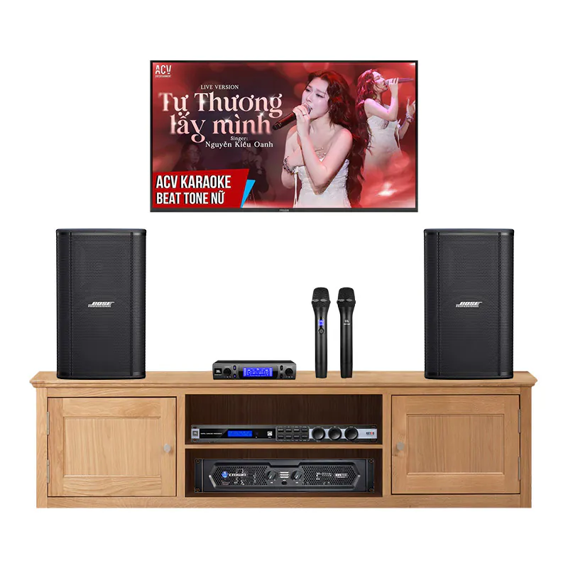 Dàn karaoke gia đình KGD142 (Bose ShowTime SK12, Crown KVS700, JBL KX190, JBL VM300)