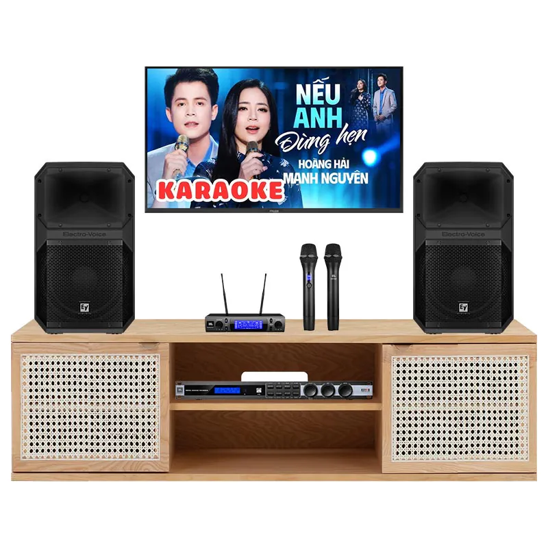 Dàn karaoke gia đình KGD95 (Electro voice Eviva 12P, JBL KX190, JBL VM300)