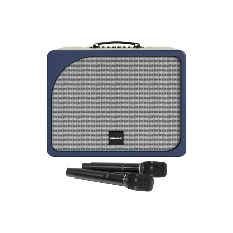 Loa Paramax Evox,Bass 20cm, Công suất 300W, Bluetooth 5.3, USB, HDMI ARC, Optical, AUX