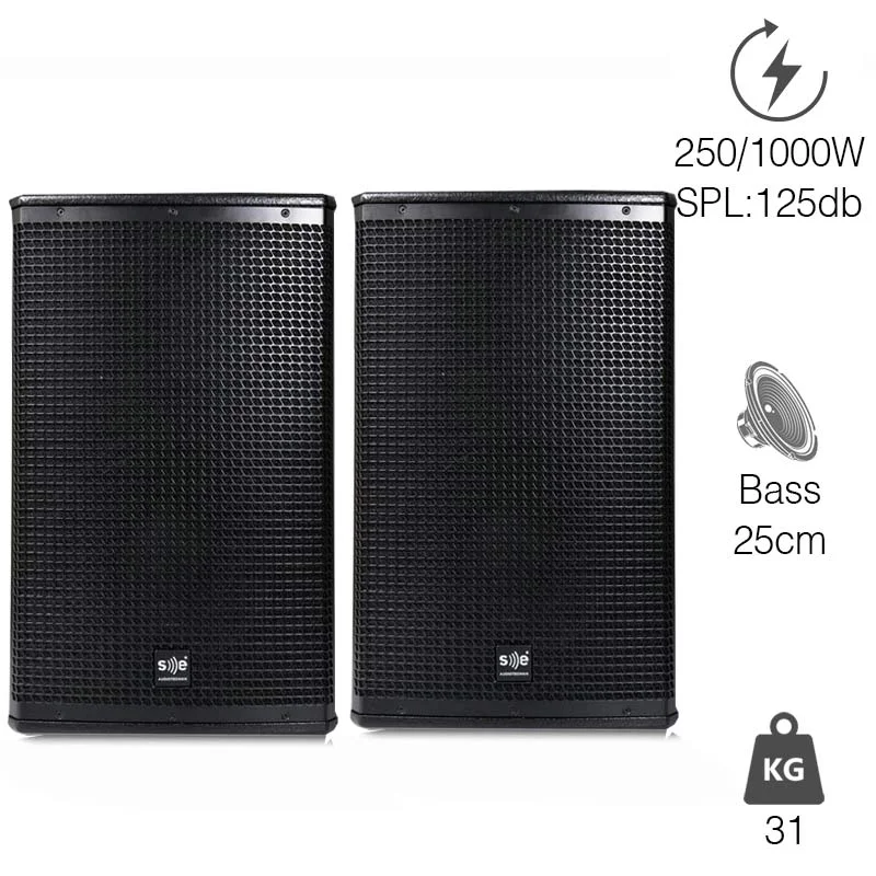 Loa SE AudioTechnik CV10i