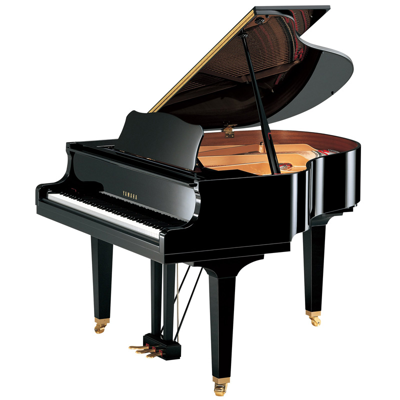Polished Ebony