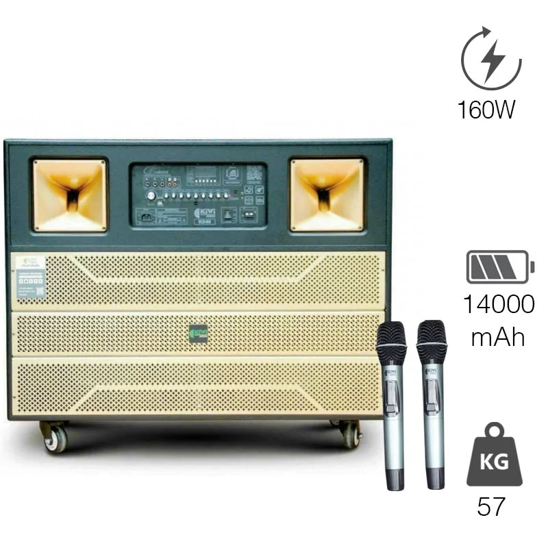 Loa Kiwi K240