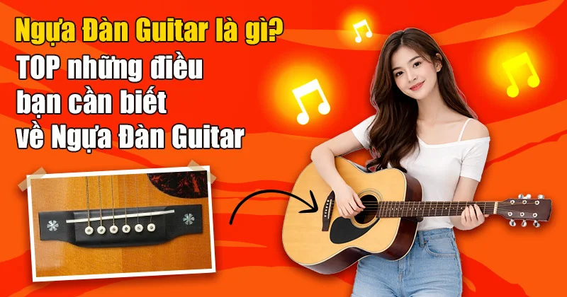 Ngựa Đàn Guitar là gì? TOP những điều bạn cần biết về Ngựa Đàn Guitar